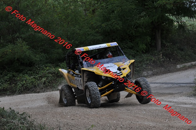 DSC_6002.JPG